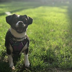 Meet your Posher, Nicki